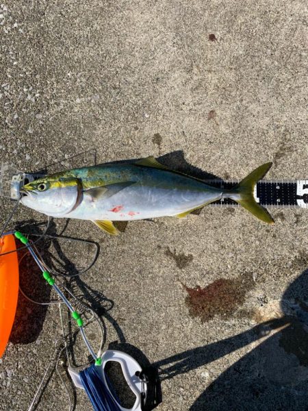 ショアジギング