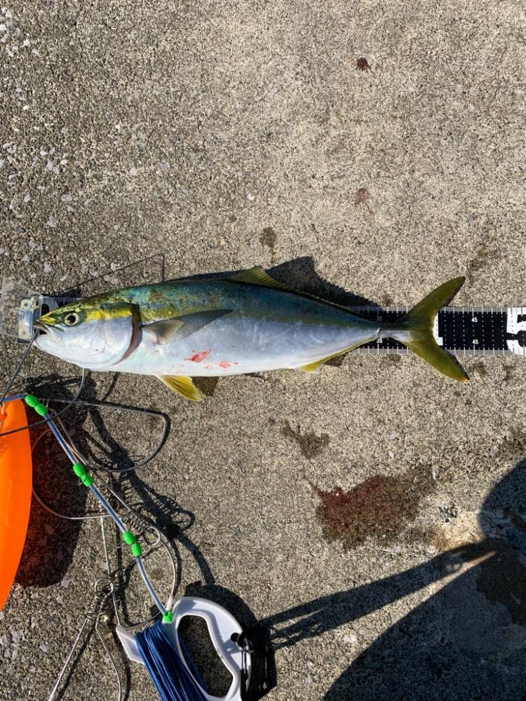 ショアジギング