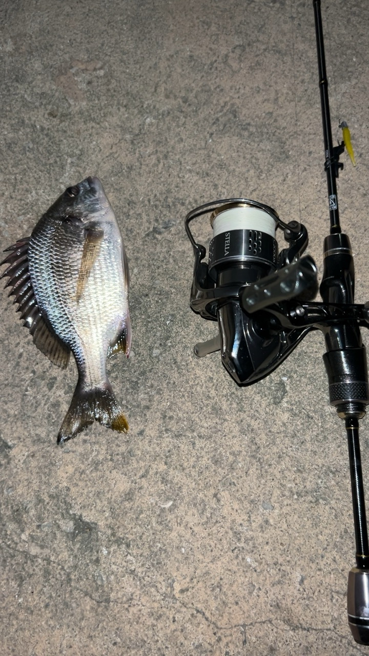 強風アジング(^◇^;)