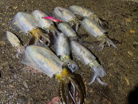 満潮潮止まりの夕まづめに