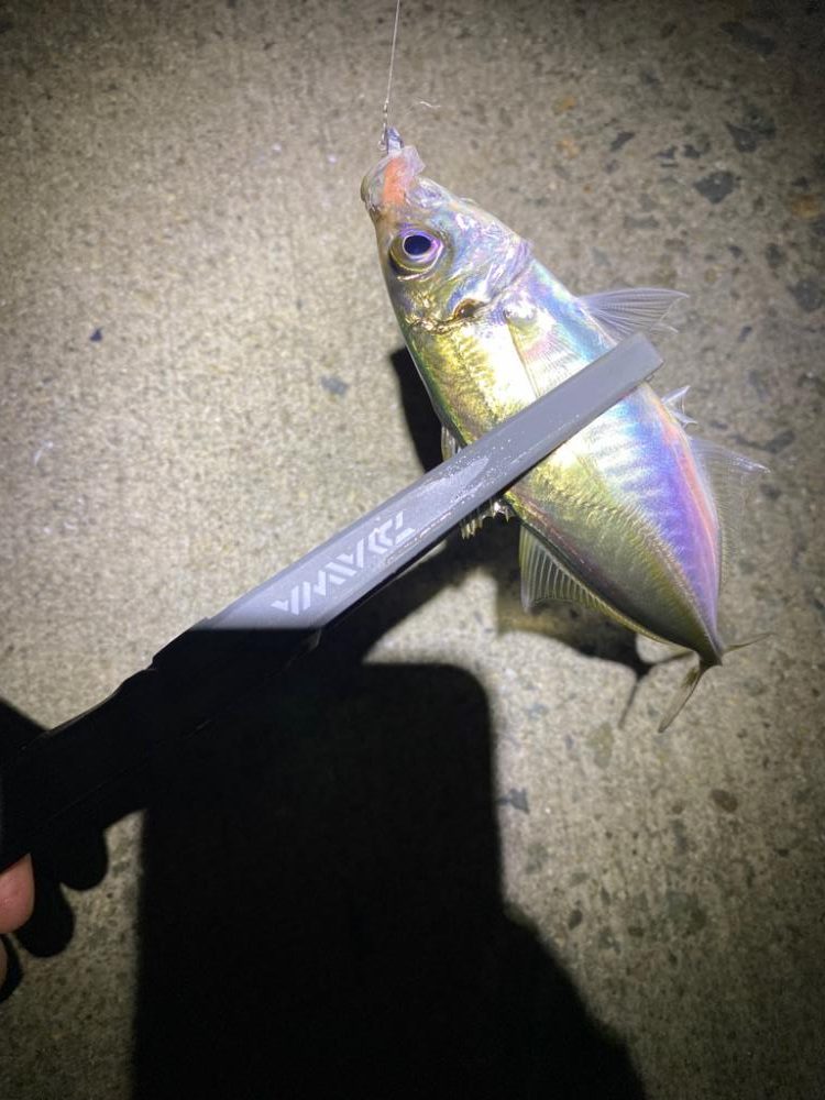 超絶爆風ライトゲーム