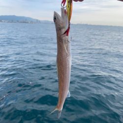 エソしか釣れん…