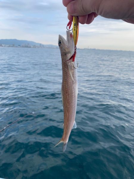 エソしか釣れん…