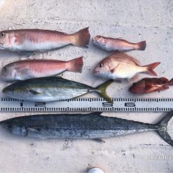 11/23 伊島沖ジギングタイラバ