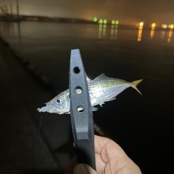 雨の仕事終わりに