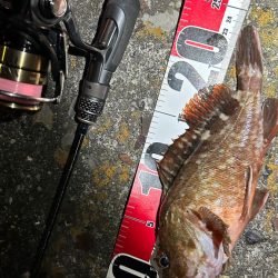 不調の中の癒し