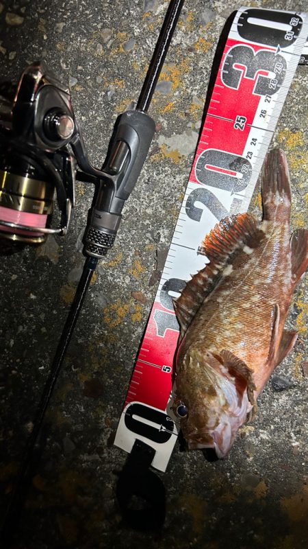 不調の中の癒し