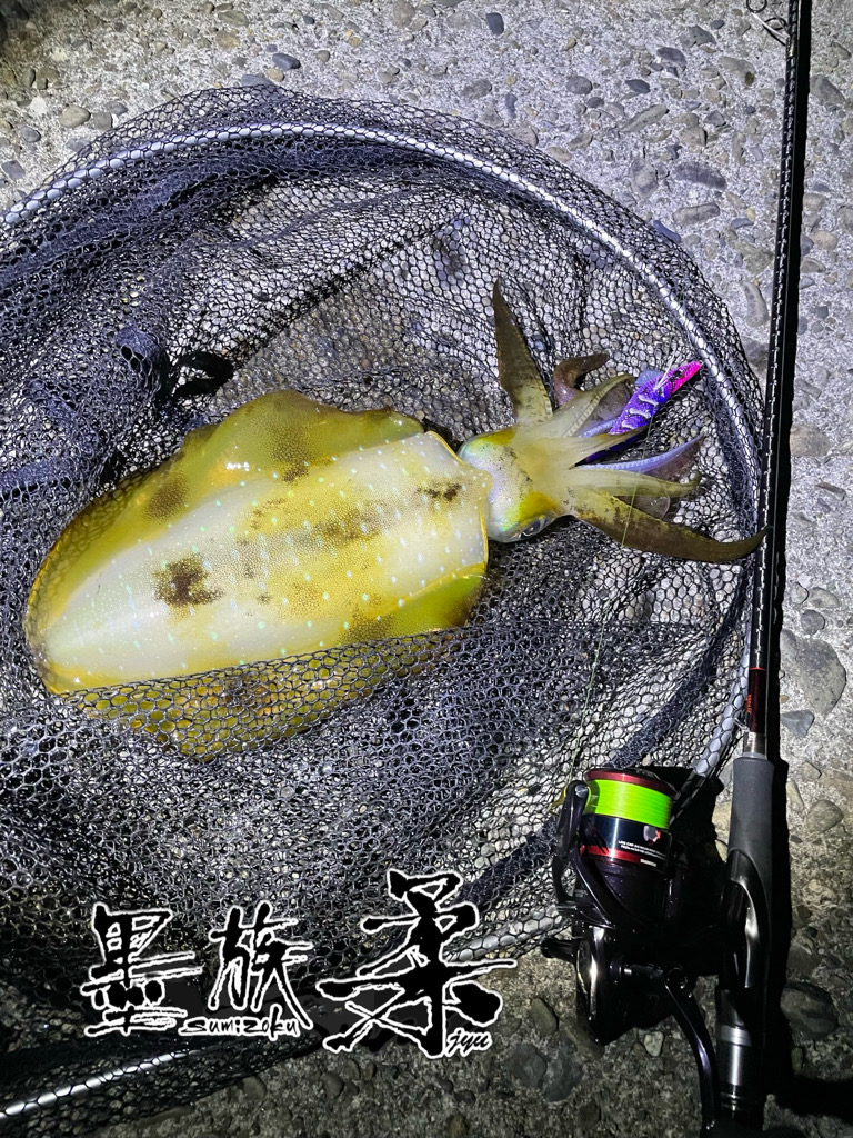 久しぶりのキロゲット