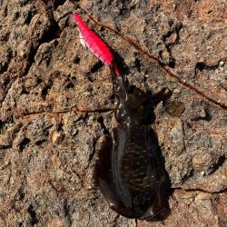 やはりデイゲーム