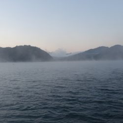 霧混じる陸からの冷たい追い風の晩秋