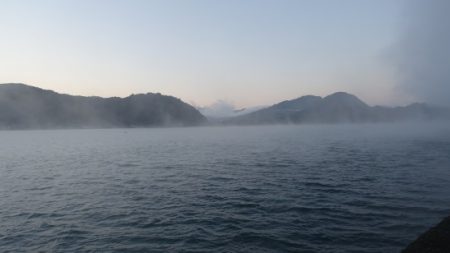 霧混じる陸からの冷たい追い風の晩秋