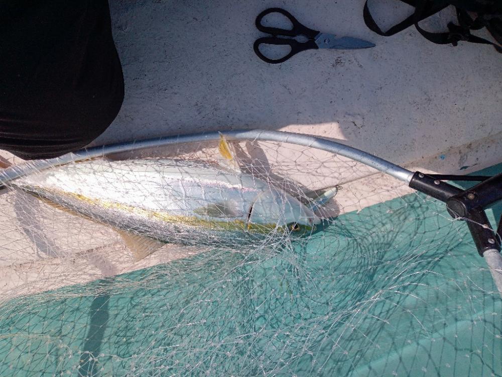 鯛ラバ・ジギング