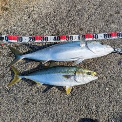 今季初ブリ！！おまけに自己記録更新