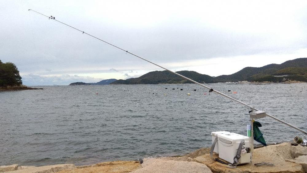 室津のキス釣り