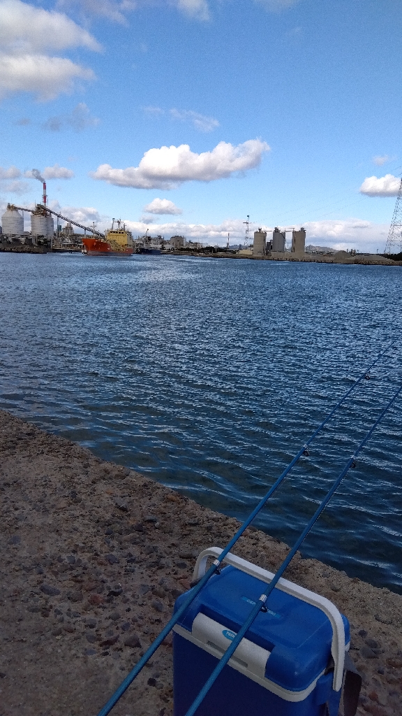 高砂港のチョイ投げ