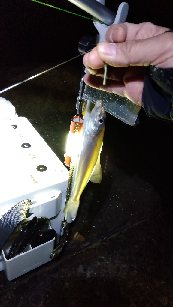 苅屋海岸の投げ釣り