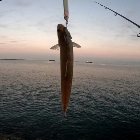 今日も…(꒪⌓꒪)