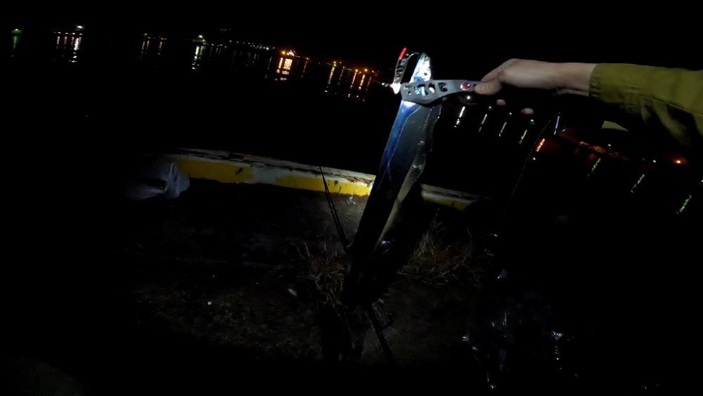 仕事終わり釣行🎣