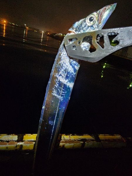 ちょっとだけ(^_^;)