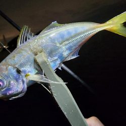 久々ライトゲーム