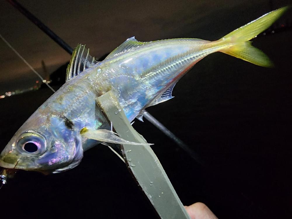 久々ライトゲーム