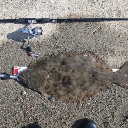 新リールに鱗つきました