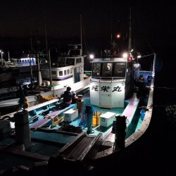 落とし込みアンダーベイトへ