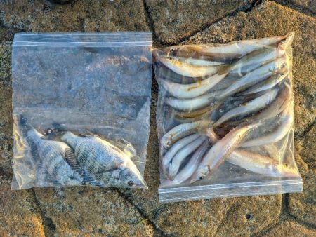 【悲報】かめや営業時間短縮