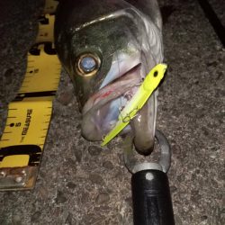 夕暮れのsalt water game