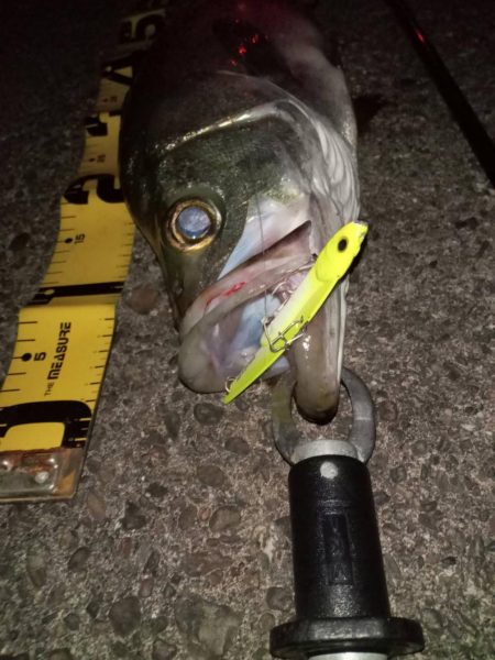 夕暮れのsalt water game