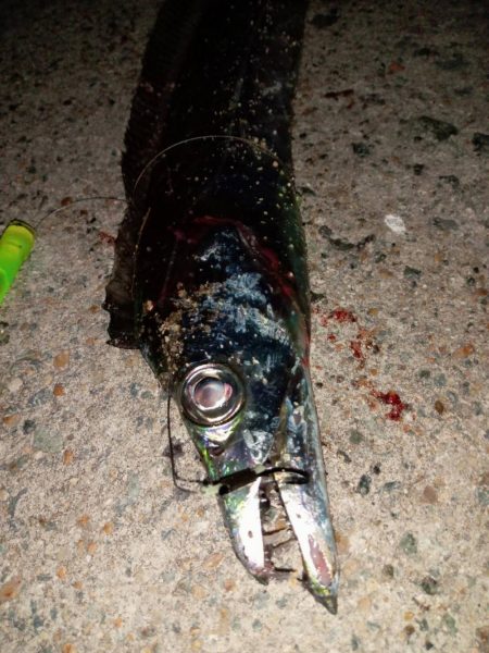 プチファミリーフィッシング GAME