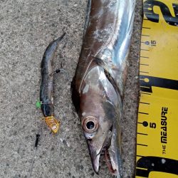 プチsalt water game