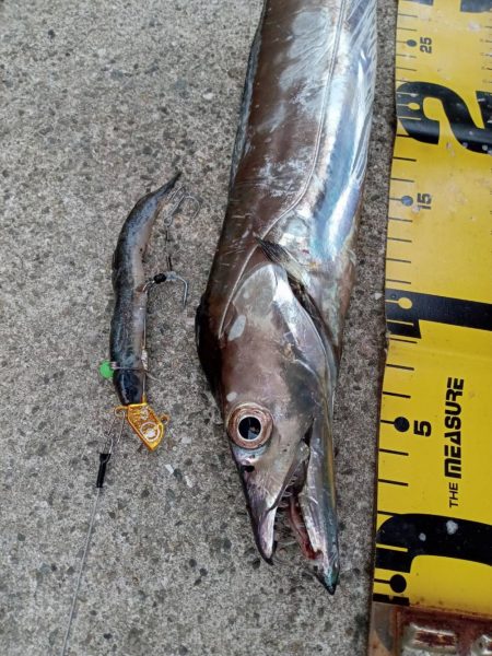 プチsalt water game