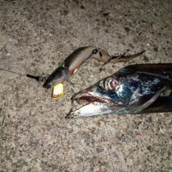 プチsalt water game