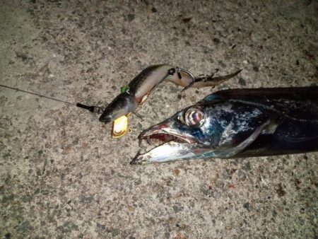 プチsalt water game