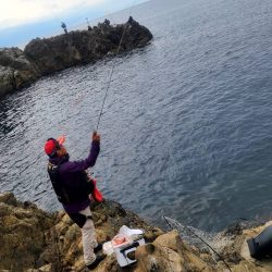 和歌山見老津（林渡船）で磯フカセ