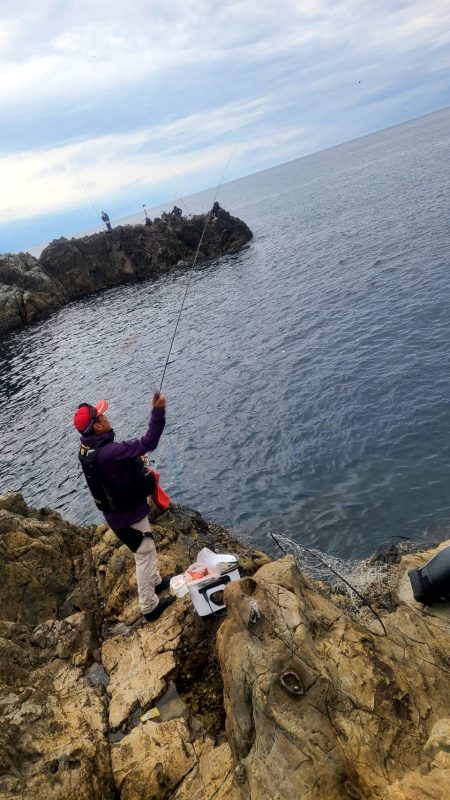 和歌山見老津（林渡船）で磯フカセ