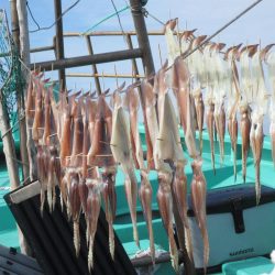 スルメイカ　釣れました(^_-)-☆