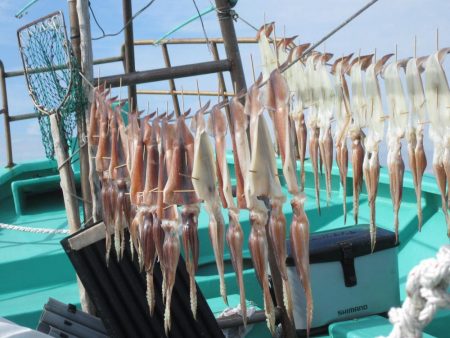 スルメイカ　釣れました(^_-)-☆