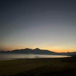 だいぶ冷え込んできましたがキスは元気でした