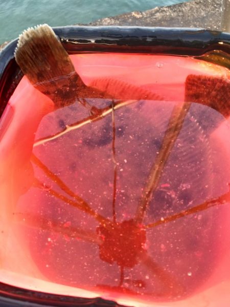 小さくてもマルチ