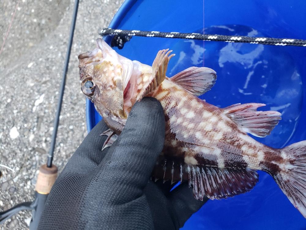 穴釣り