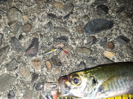 ジャングルジムイベント