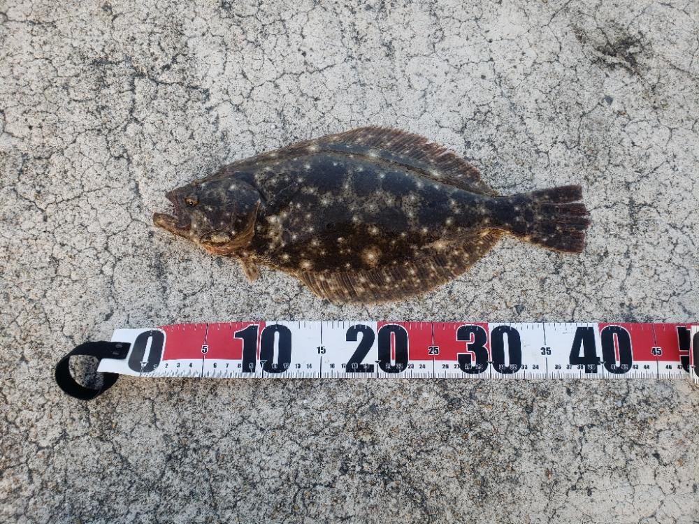 周りに誰もいない中