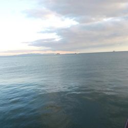 飲ませのつもりが