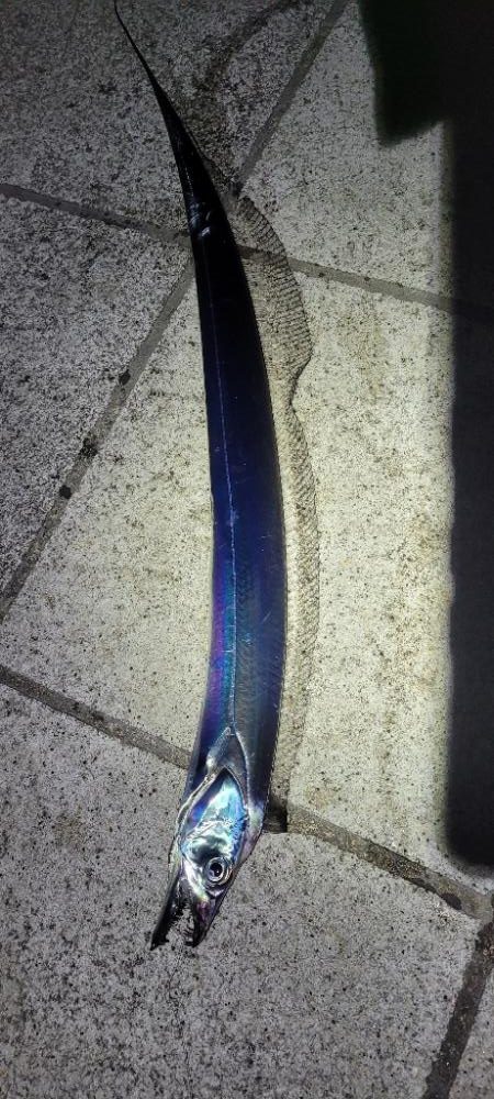 安定のマリーナシティ〜