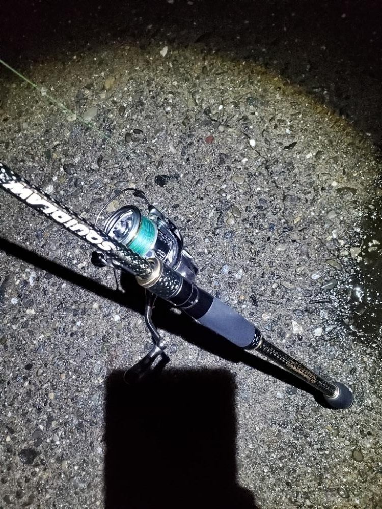 夕マズメすぎたけどエギング