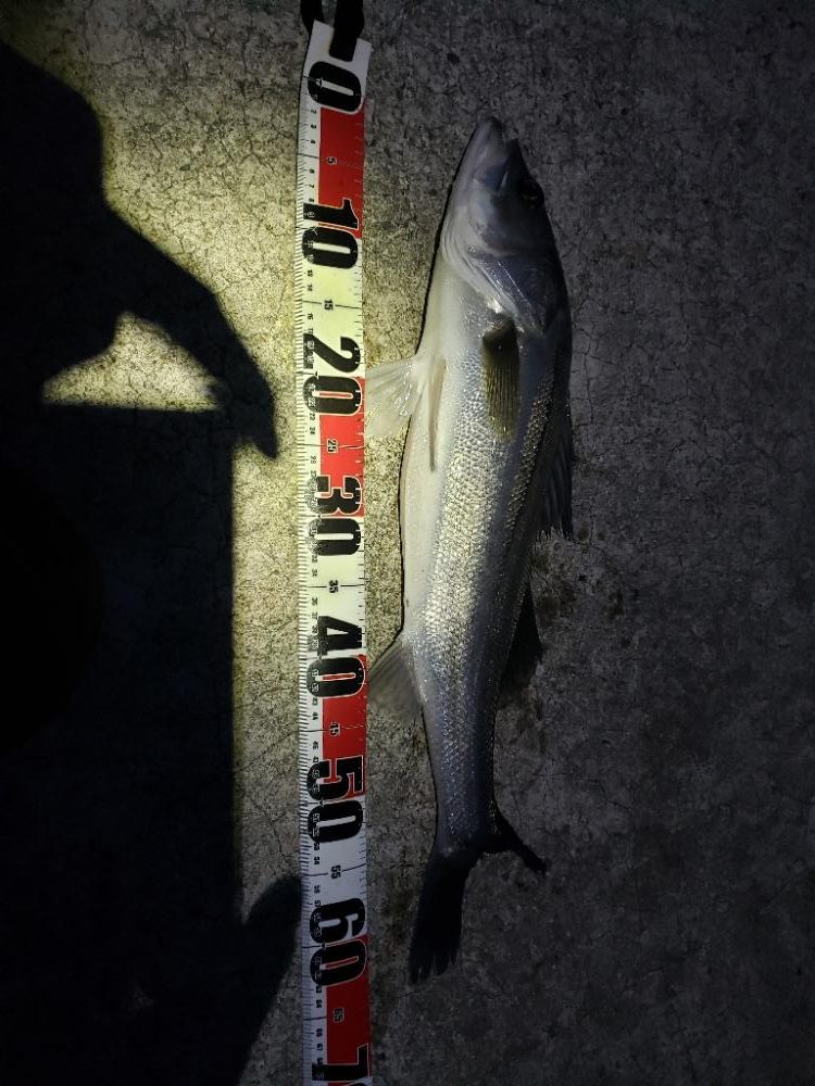 朝２時からの、、、