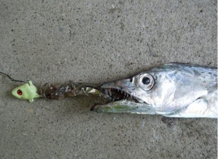 そろそろ終盤かな…？