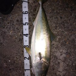 ショアジギング